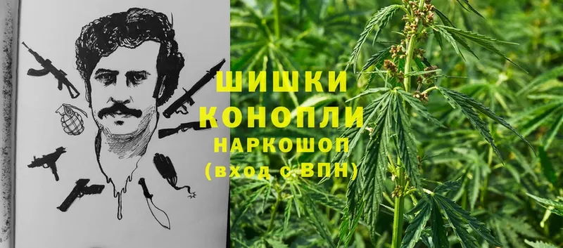 Канабис SATIVA & INDICA  наркота  Калач 